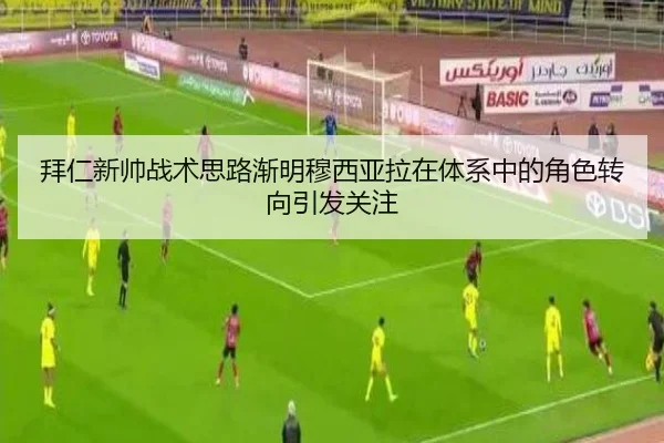 bai-ren-xin-shuai-zhan-shu-si-lu-jian-ming-mu-xi-ya-la-zai-ti-xi-zhong-de-jue-se-zhuan-xiang-yin-fa-guan-zhu-3-133.jpg
