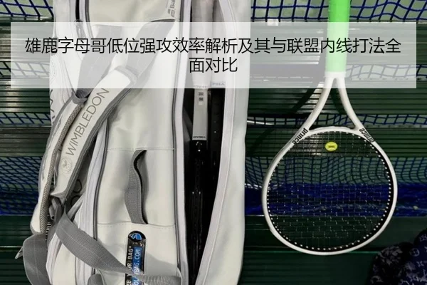 雄鹿字母哥低位强攻效率解析及其与联盟内线打法全面对比