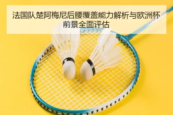 法国队楚阿梅尼后腰覆盖能力解析与欧洲杯前景全面评估